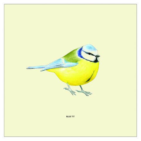 Blue Tit Bird Cushion Cover By Christine Berrie