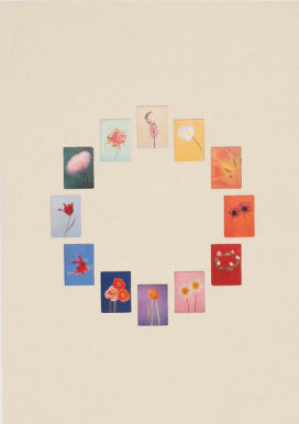 The Chromatics of Flowers