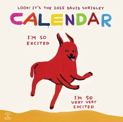 2025 David Shrigley Wall Calendar