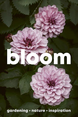 Bloom #16