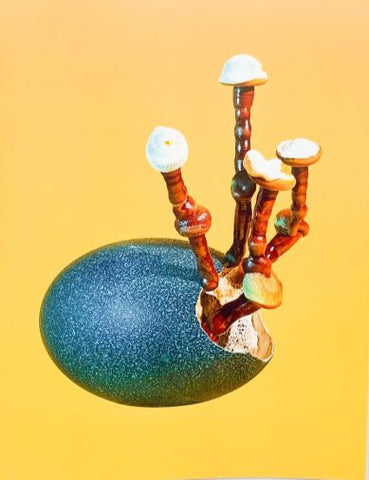 Mushrooms and Friends #4