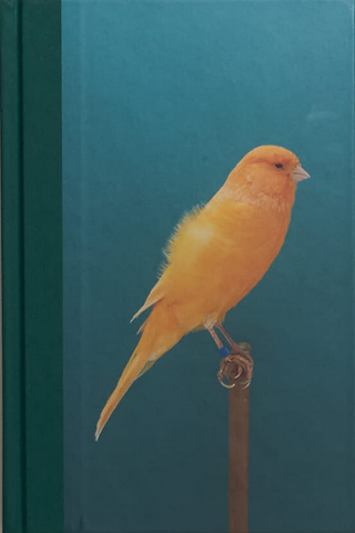 An Incomplete Dictionary of Show Birds .Vol 2