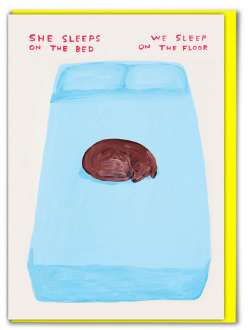 Sleeps on the bed By David Shrigley Card Shrigley205