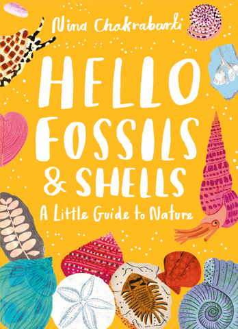 Hello Fossiils & Shells