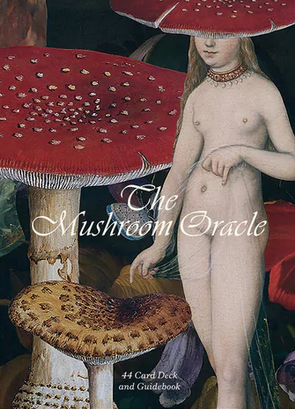 The Mushroom Oracle