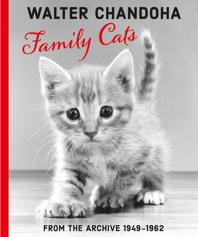 Walter Chandoha: Family Cats