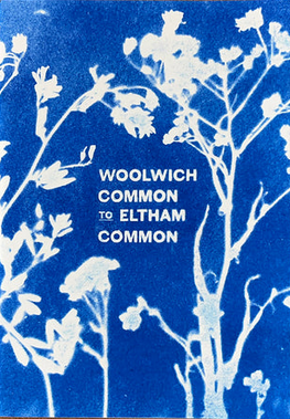 Woolwich Common to Eltham Common