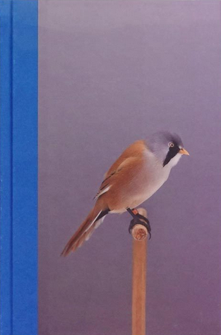 An Incomplete Dictionary of Show Birds .Vol 2