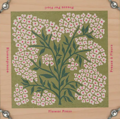 Pocket Flower Press - Forget Me Not