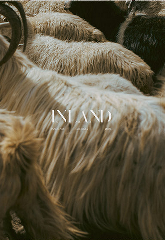 Inland Issue 02: Georgia