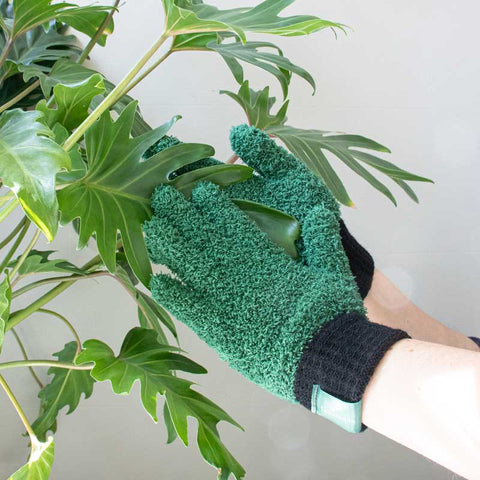 Leaf Love Gloves