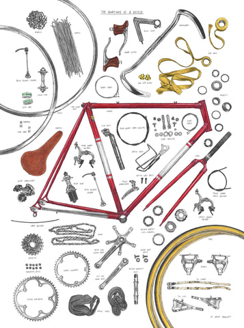 The Anatomy Of A Bicycle Print By David Sparshott