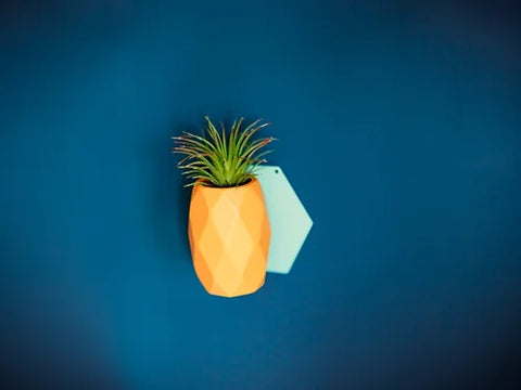 SNAP FROOTS - Pineapple Magnetic Planter