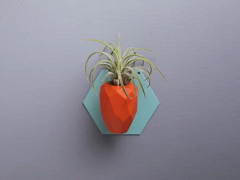SNAP FROOTS - Carrot Magnetic Planter