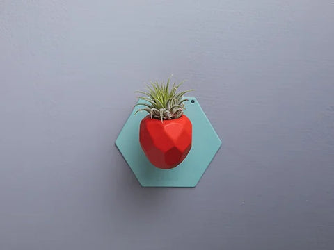 SNAP FROOTS - Strawberry Magnetic Planter