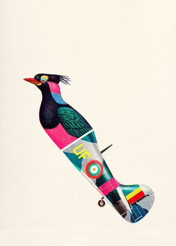 Aerofauna Pink Bird Print By Valero Doval